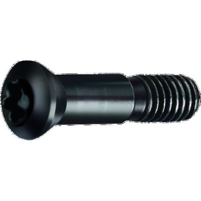 GÜHRING® - Spannschraube 4071 Werksnorm blank T15 M4 x 7,7mm
