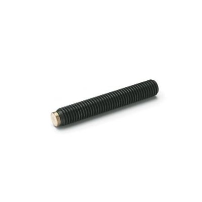 Ganter Norm® - 913.3-M5-6-MS Gewindestifte mit Messing- / Kunststoff-Zapfen, Stahl