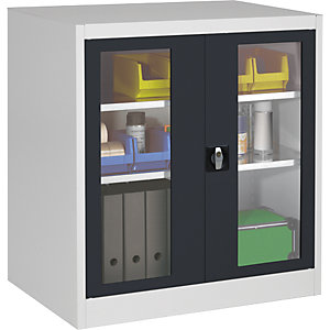 Sichtfenster-Flügeltürschrank, mit 2 Fachböden, HxBxT 1016 x 950 x 500 mm, lichtgrau/anthrazitgrau.
